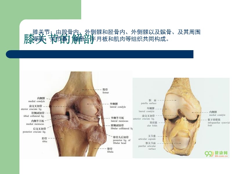膝关节骨性关节炎的护理.ppt_第2页