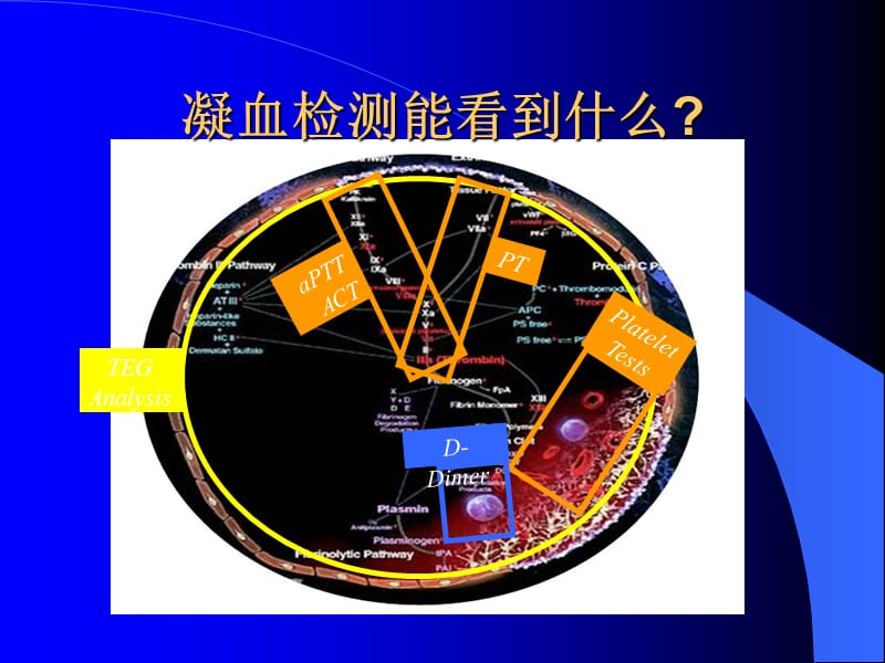 认识、鉴别TEG诊断报告.ppt_第3页