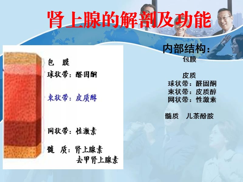 肾上腺腺瘤影像诊断.ppt_第2页