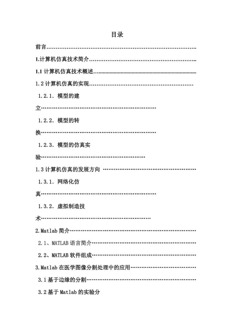 计算机仿真技术在医学方面的应用.doc_第3页