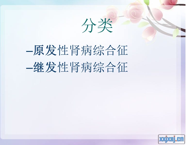 肾病综合征小讲课.ppt_第3页