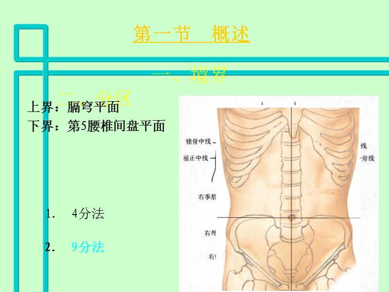 腹部断层影像解剖学.ppt_第3页