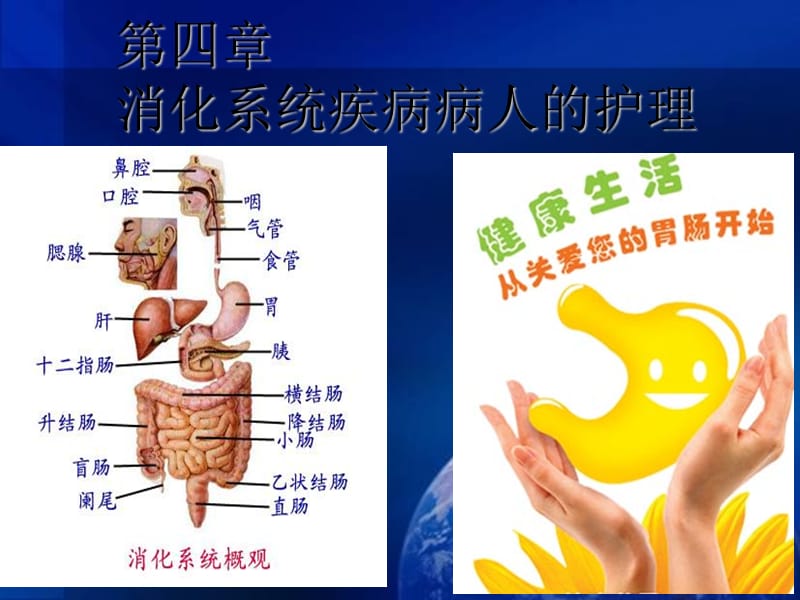 消化系统概述.ppt_第1页