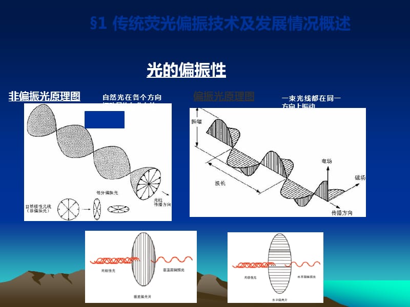 荧光偏振技术原理.ppt_第3页