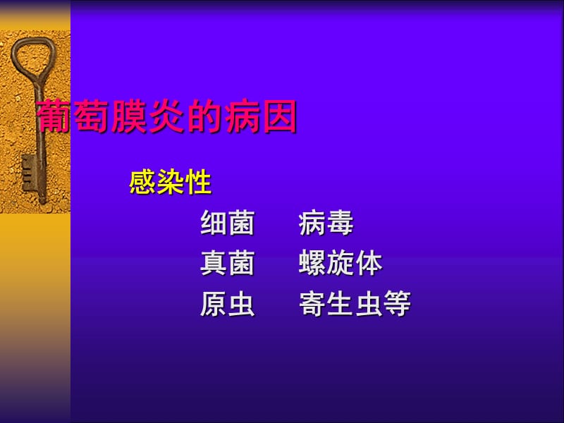 葡萄膜炎的病因分类和诊断.ppt_第2页