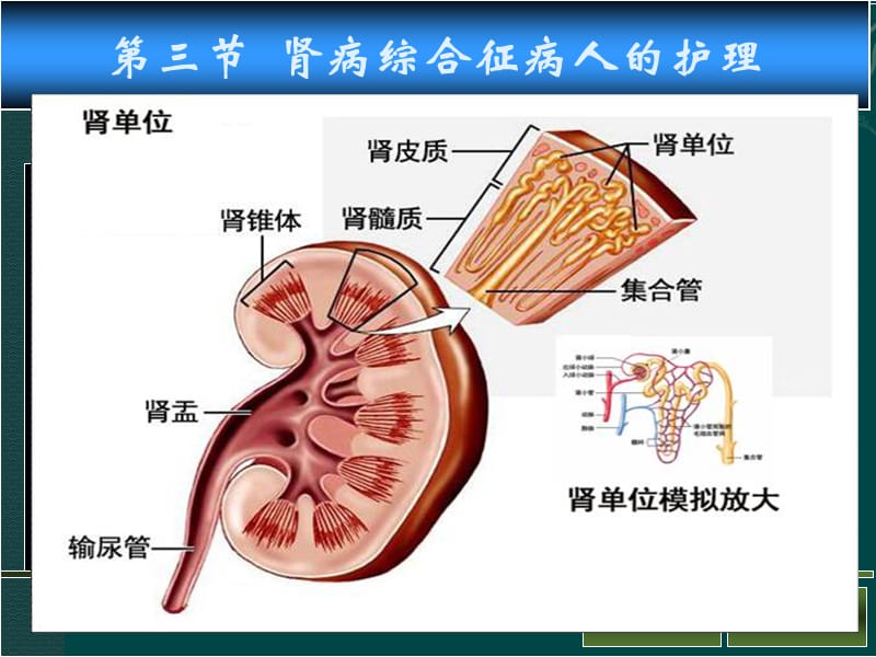 肾病综合征PPT10059.ppt_第1页