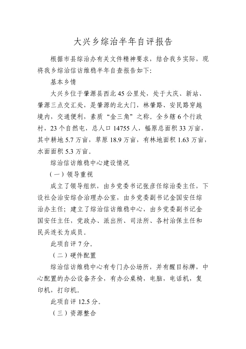 大兴乡综治工作半年自评报告.doc_第1页