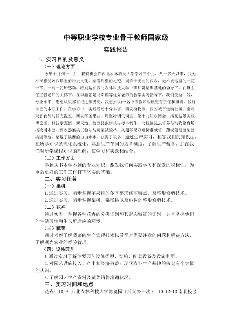 中等职业学校专业骨干教师国家级实践报告.doc_第1页