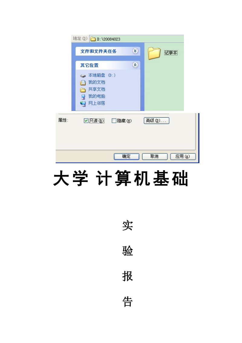大学计算机基础实验报告(底稿).doc_第1页
