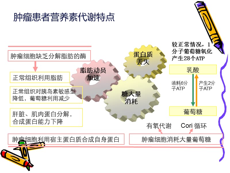 肿瘤患者规范化营养支持治疗.ppt_第3页