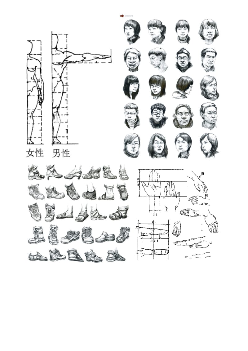 素描静物和人物速写总结教科版.doc_第3页