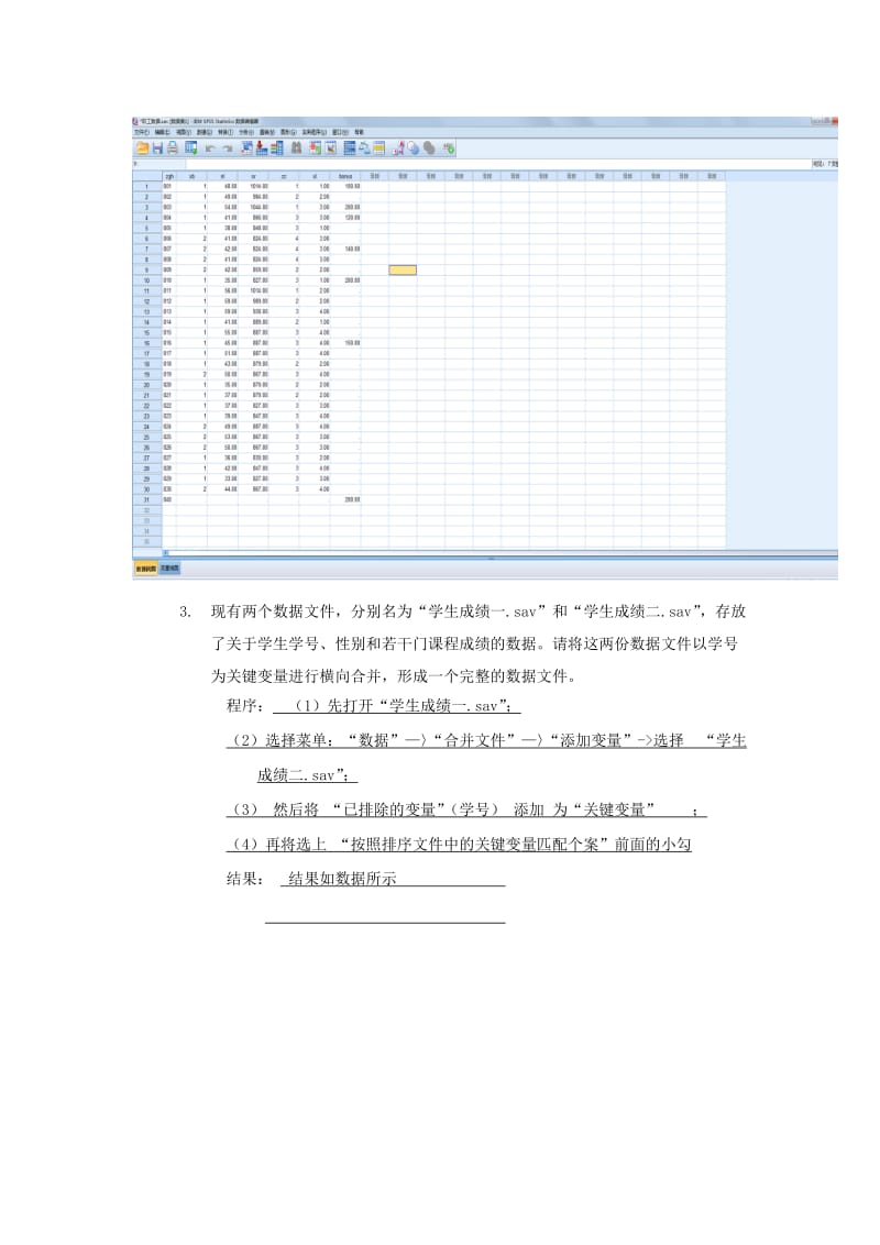 上机实验报告SPSS数据文件的建立和管理.docx_第3页