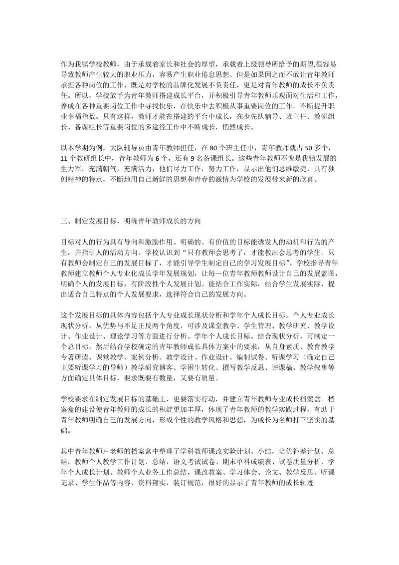 白岭镇小学青年教师培养小结.docx_第2页