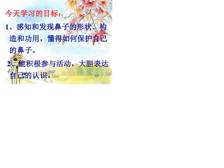 鼻子的故事课件.ppt_第1页