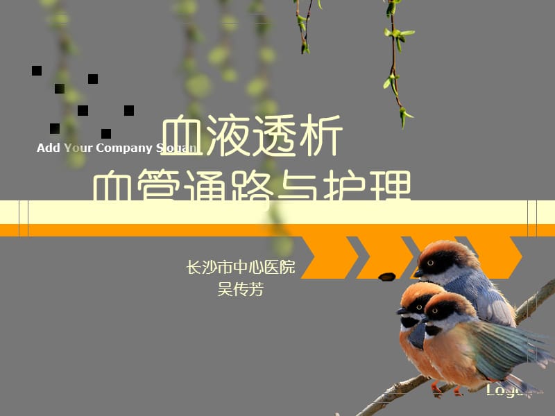 血液透析血管通路与护理.ppt_第1页