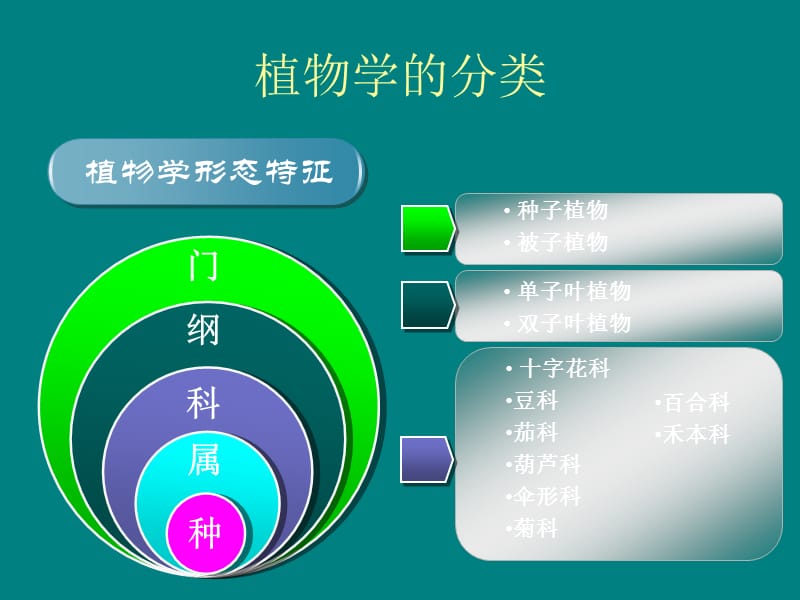 蔬菜基础知识-蔬菜分类.ppt_第3页