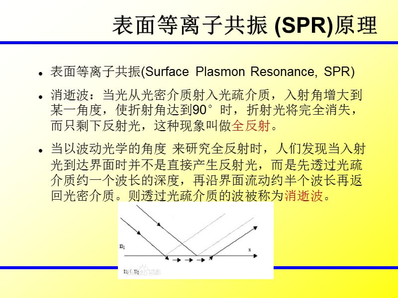 表面等离子共振 (SPR) 技术与Biacore原理.ppt_第2页