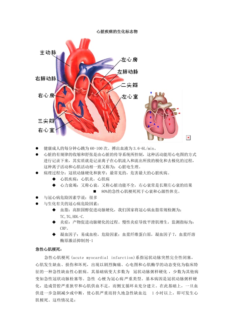 心脏疾病的生化标志物.doc_第1页