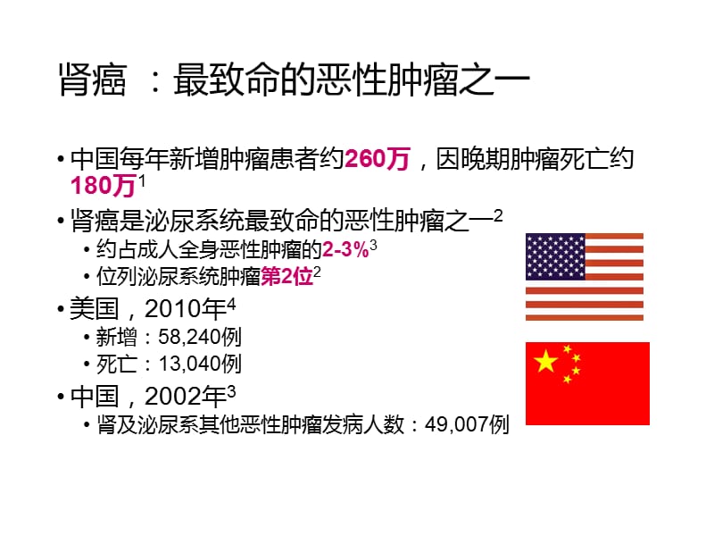 晚期肾癌PPT.ppt_第3页