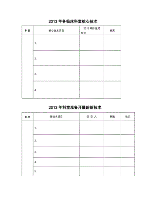 2013年各臨床科室核心技術(shù).doc