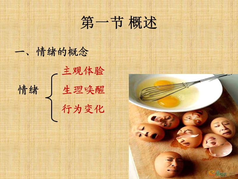 生理心理学情绪.ppt_第3页