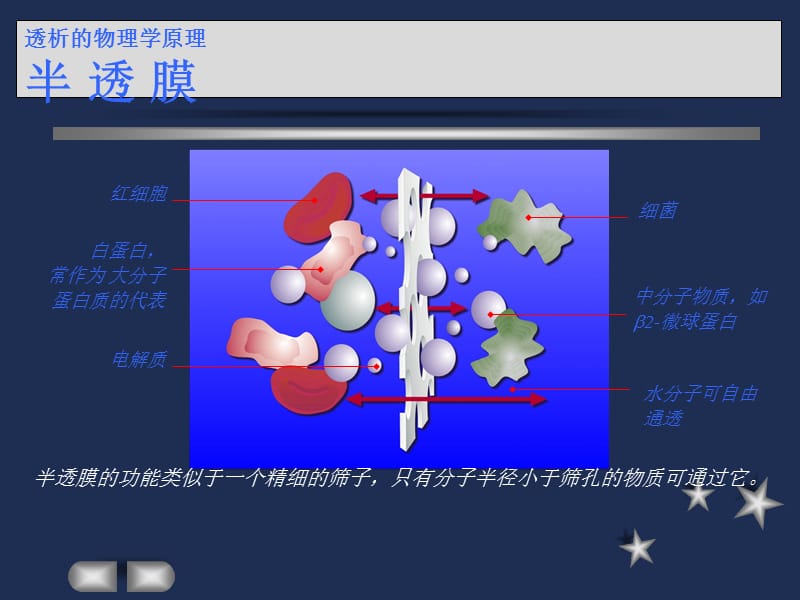 费森尤斯透析器知识.ppt_第3页