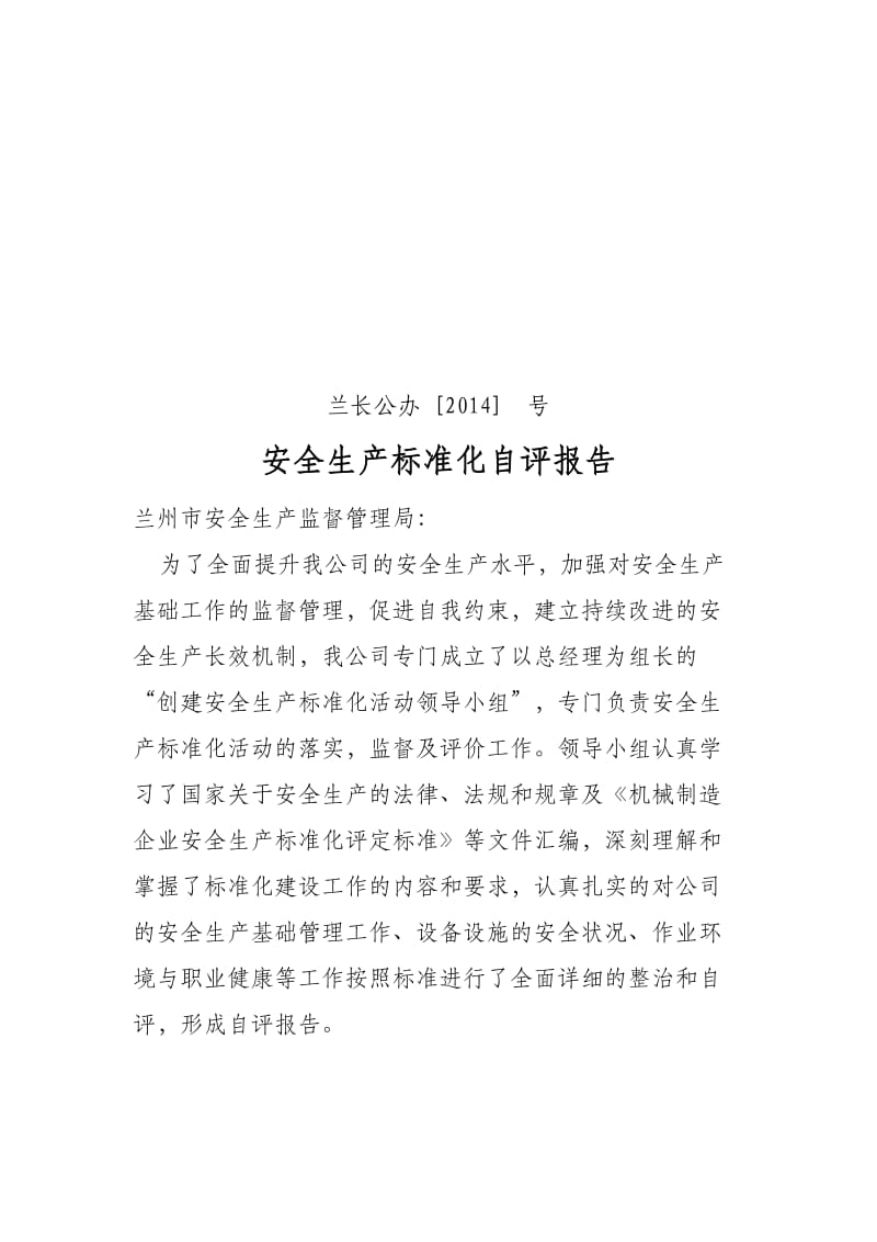 安全标准化自评报告文件及报告.doc_第1页