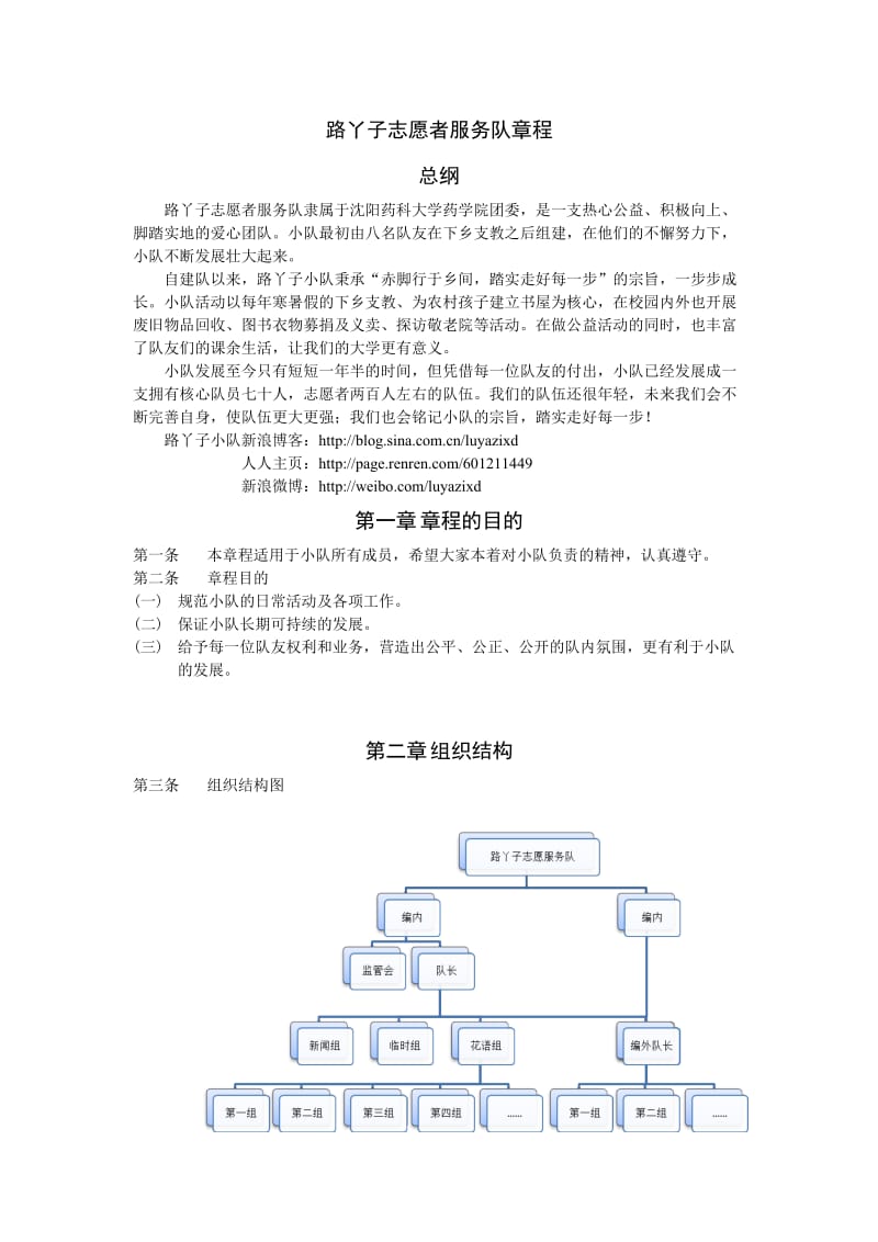 路丫子志愿服务队章程.doc_第1页