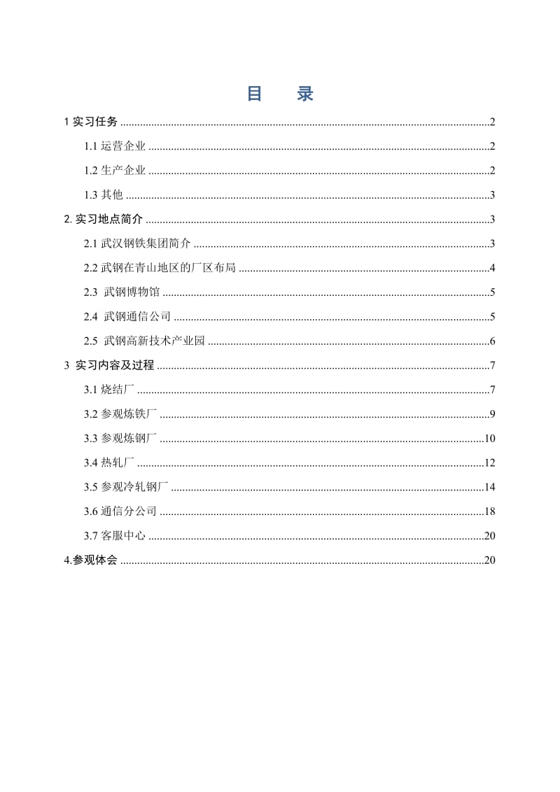 武汉钢铁(集团)公司实习报告.doc_第1页