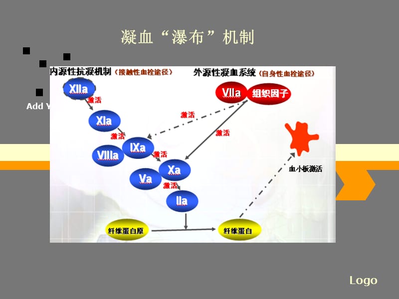 血液透析中的抗凝技术.ppt_第2页