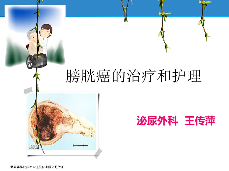 膀胱癌的治疗与护理.ppt_第1页