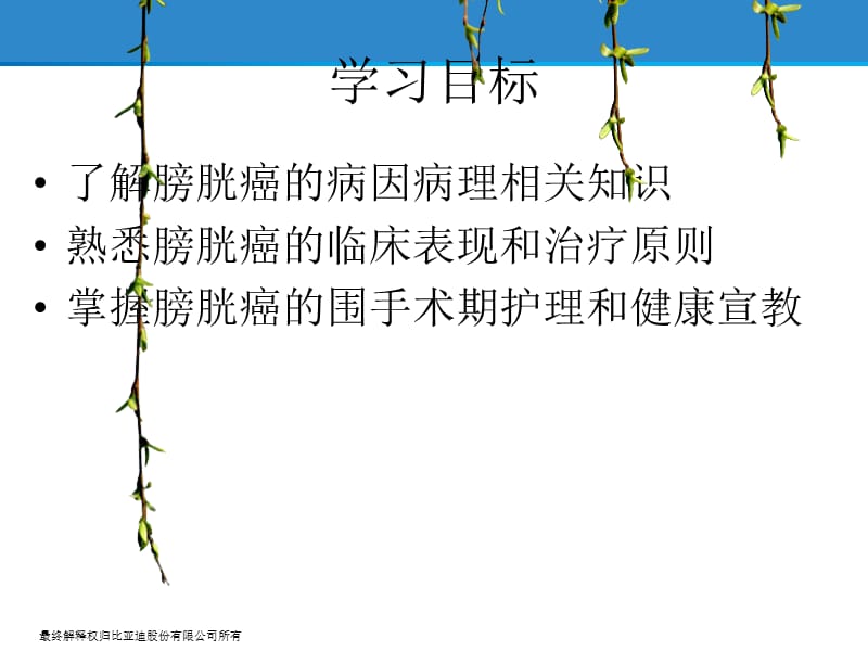 膀胱癌的治疗与护理.ppt_第2页