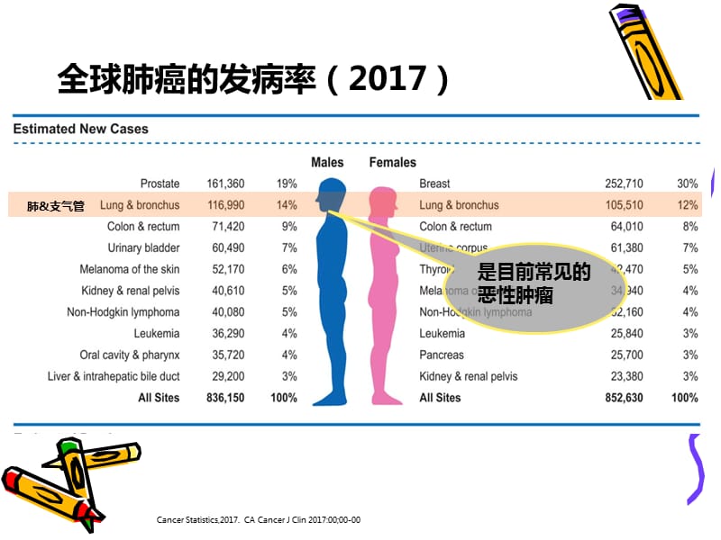 肺癌患者健康讲座之7.新药篇-肺癌免疫治疗.ppt_第3页