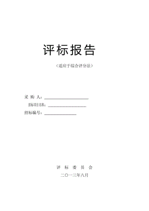 評(píng)標(biāo)報(bào)告公開(kāi)招標(biāo).doc