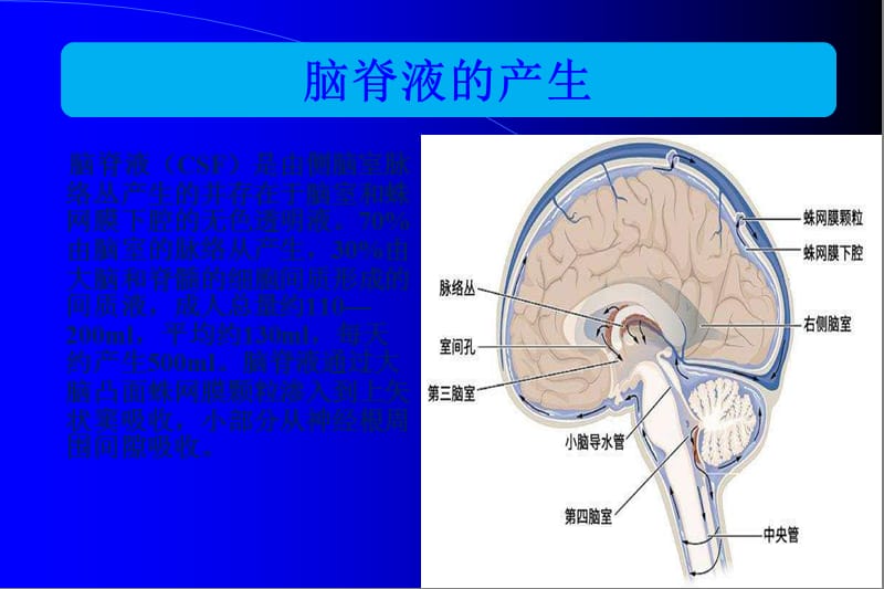 腰大池引流的护理.ppt_第2页