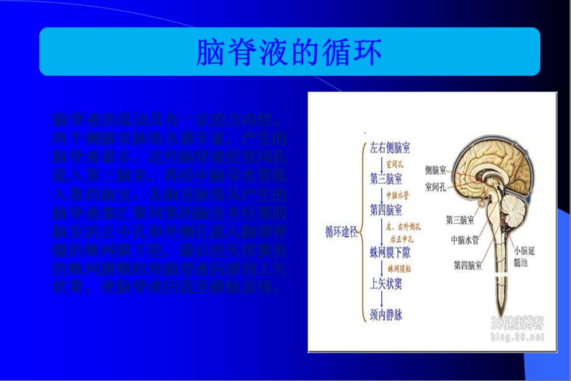 腰大池引流的护理.ppt_第3页