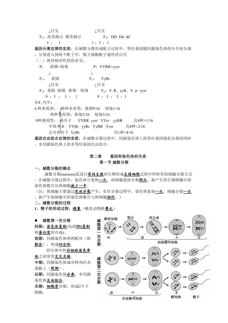 高中生物必修1-3知识点总结.doc_第2页