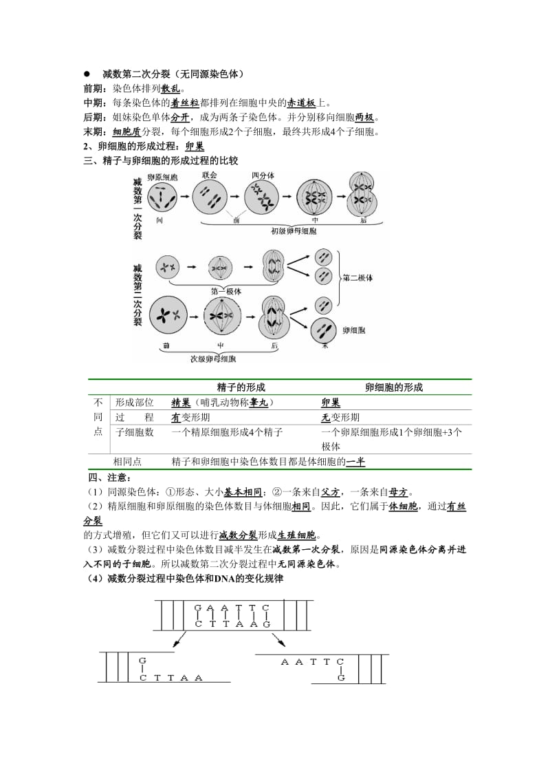 高中生物必修1-3知识点总结.doc_第3页