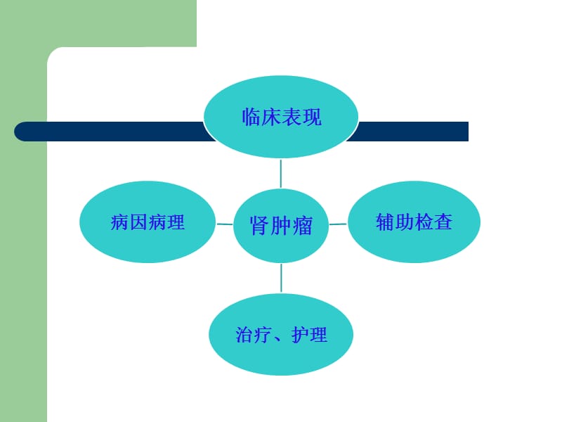 肾肿瘤的治疗与护理.ppt.ppt_第3页