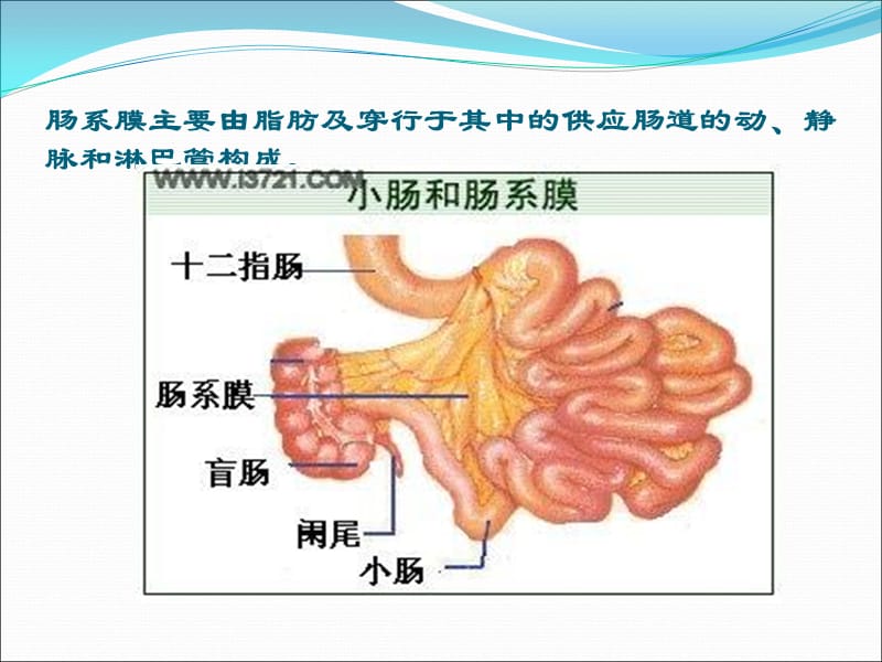 肠系膜病变影像诊断.ppt_第2页