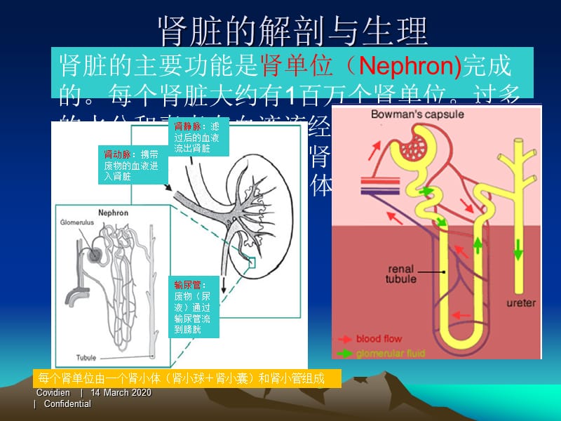 血液透析.ppt_第3页