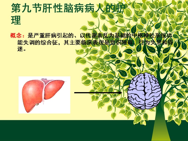 肝性脑病的护理.ppt_第2页