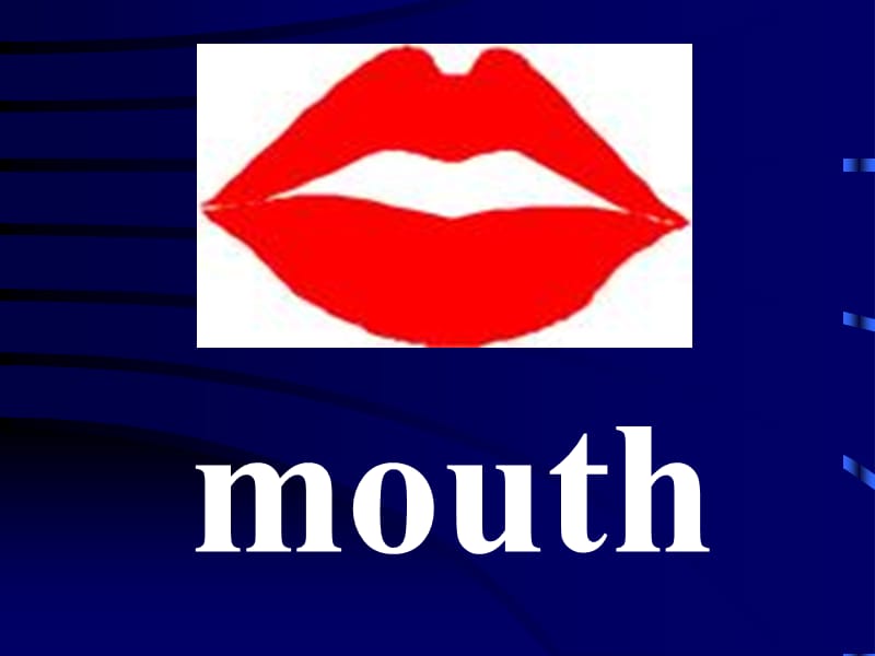 湘少版英语三年级上册unit9Its-a-mouth..ppt_第3页