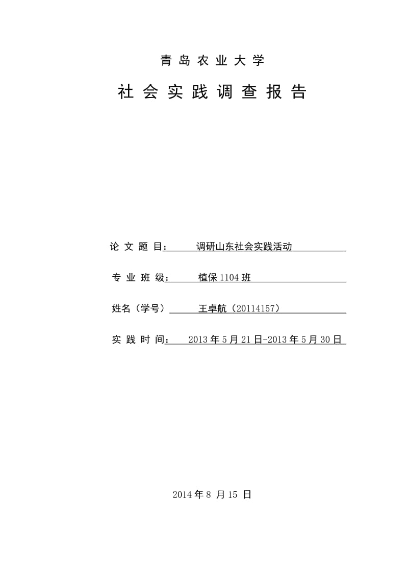 社会实践报告封皮格式.doc_第1页