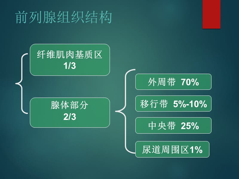 磁共振_前列腺癌.ppt_第3页