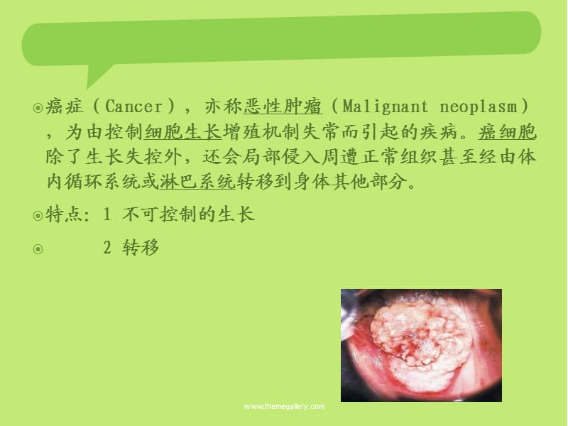 肺癌病人的护理(带案例).ppt_第3页