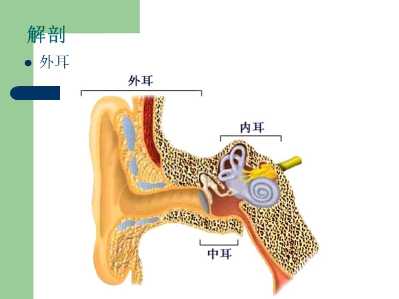 耳颞部解剖及常见疾病诊断CT.ppt_第3页