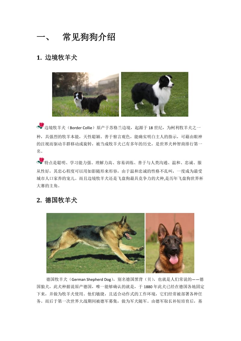 自己收集总结的常见宠物狗狗介绍.docx_第2页