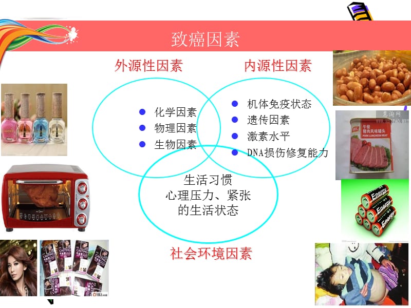 肿瘤及化疗基础知识.ppt_第3页