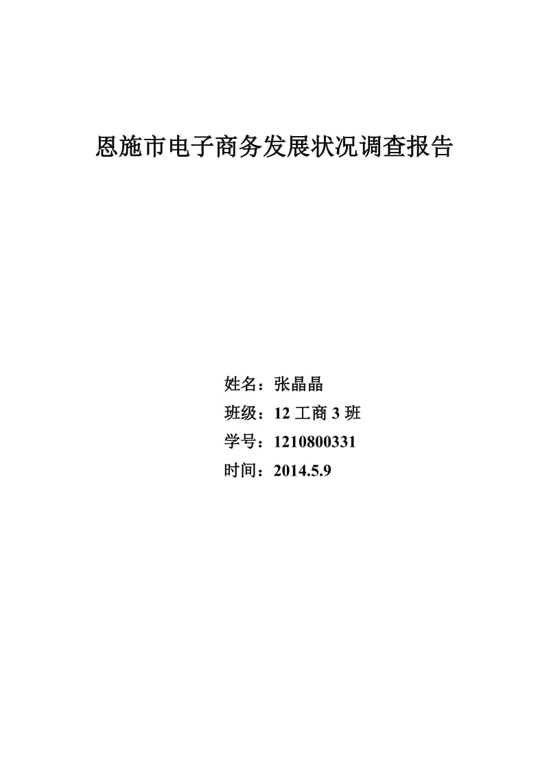 恩施市电子商务发展状况调查报告.doc_第1页